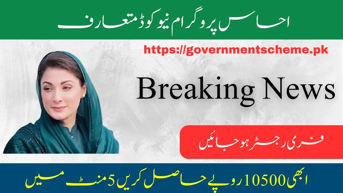 8171 Code Introduce by Ehsaas to Check Eligibility 2024