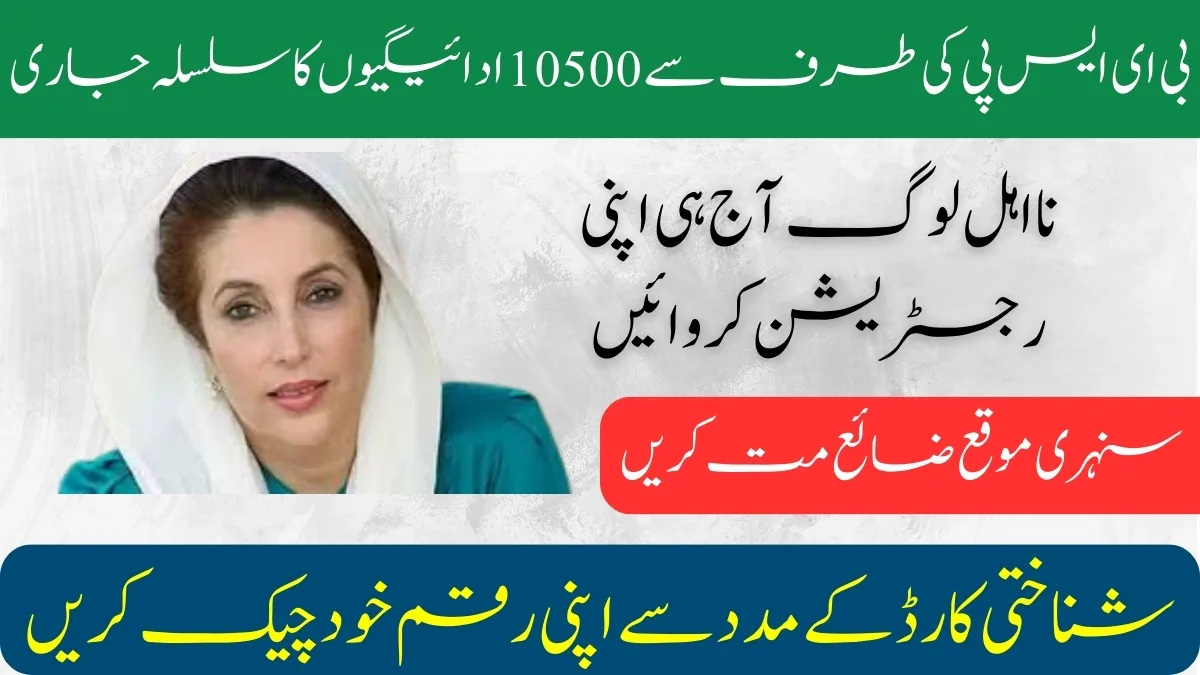 BISP 8171 Result Check Online by CNIC | BISP Schemes