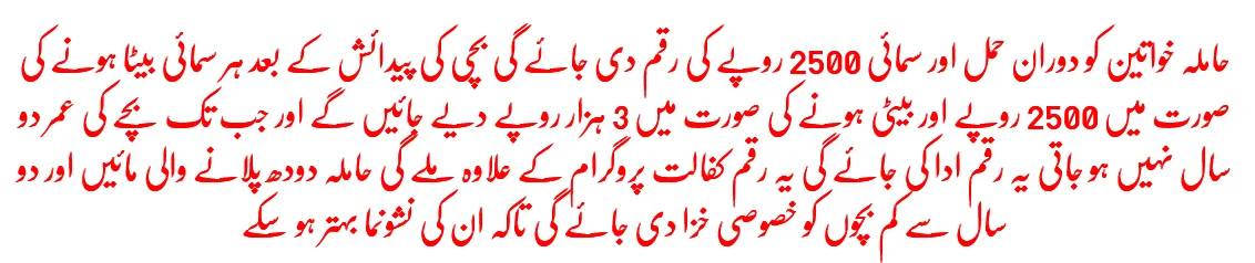 Benazir Nashonuma Scheme Online Registration 2024