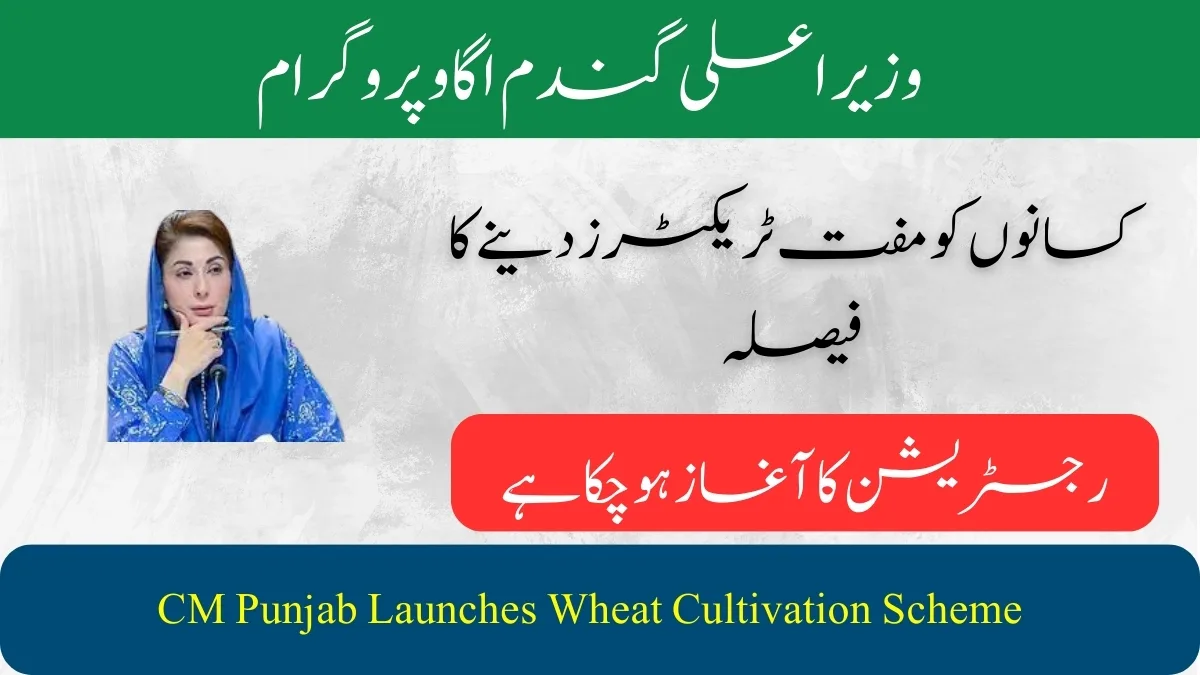CM Punjab Launches Wheat Cultivation Scheme