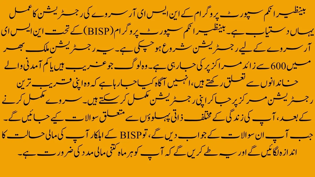 Benazir Income Support Programme NSER survey registration