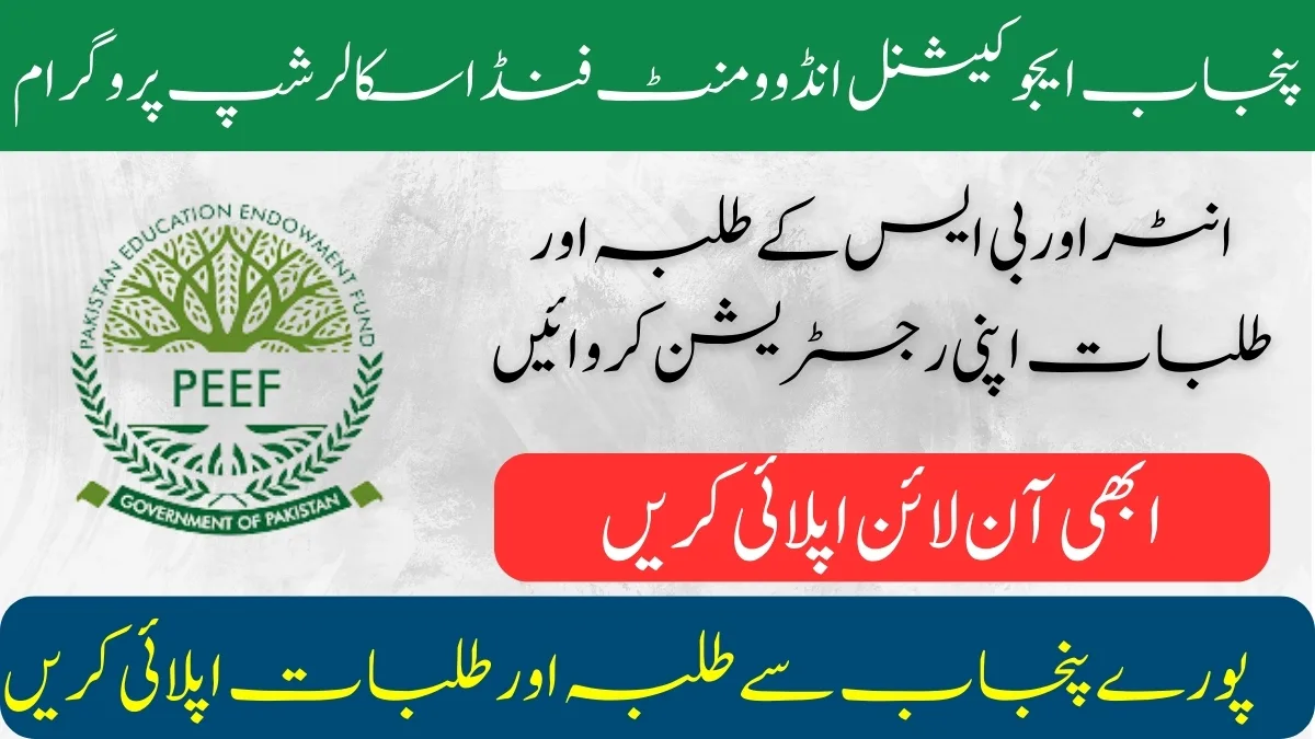 PEEF Scholarship Scheme