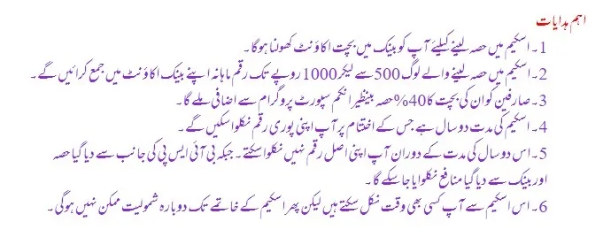 BISP Bachat Scheme Online Apply | Check Eligibility Criteria