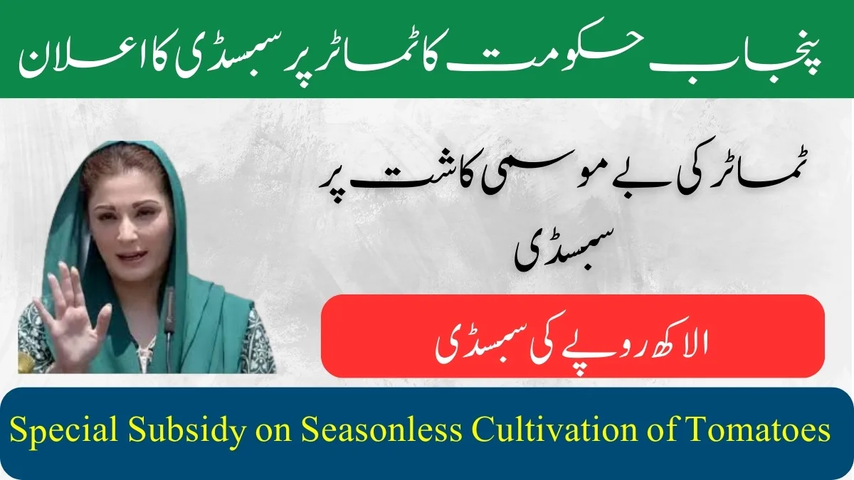 Special Subsidy on Seasonless Cultivation of Tomatoes