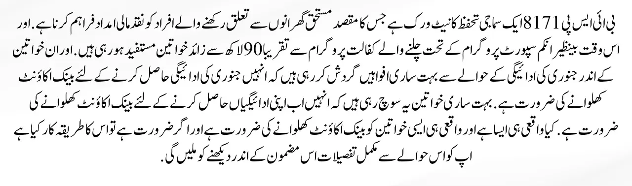 BISP 8171 New Bank Account Payment System