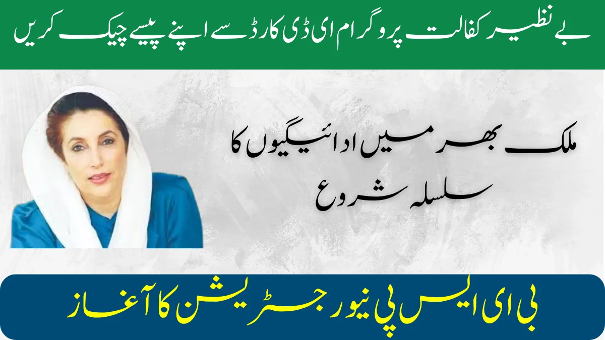 Check Bisp 8171 Payment Status By Cnic Check Bisp 8171 Payment Status By Cnic