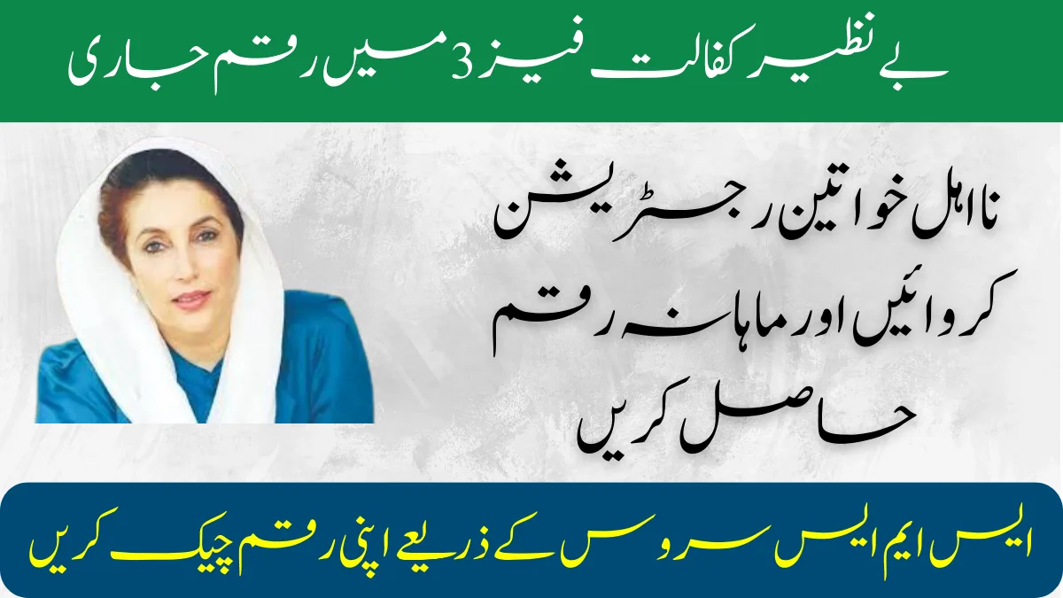 BISP Scheme Phase 3 Payment Status by 8171 Portal