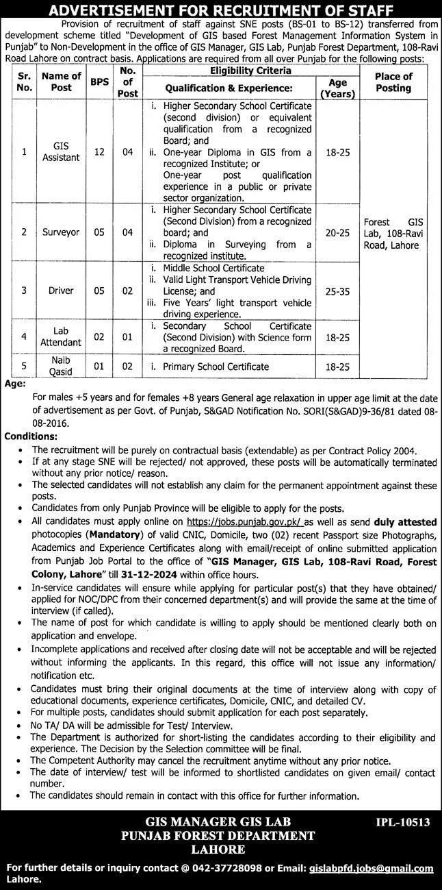 Govt Jobs In Lahore Punjab Pakistan For Assistant