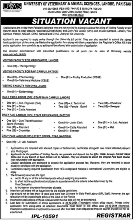 Government Jobs In Lahore Today For Clerk